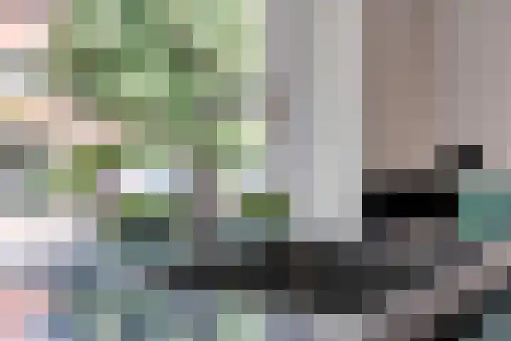 Kastanjelaan 7 Leiderdorp thumbnail 14