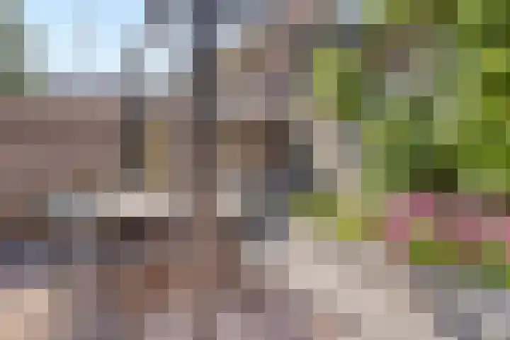 Kastanjelaan 7 Leiderdorp thumbnail 17