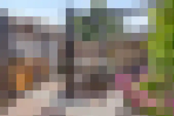 Kastanjelaan 7 Leiderdorp thumbnail 18