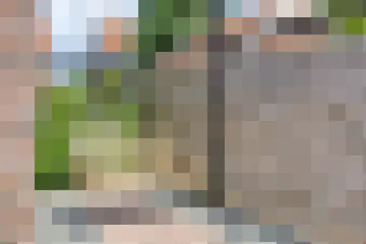 Kastanjelaan 7 Leiderdorp thumbnail 20