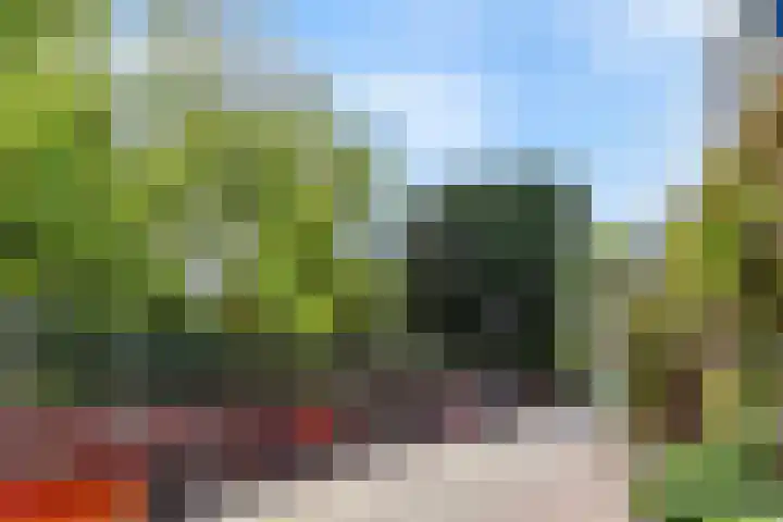 Kastanjelaan 7 Leiderdorp thumbnail 38