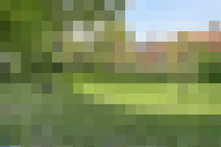 Kastanjelaan 7 Leiderdorp thumbnail 39