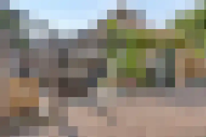 Kastanjelaan 7 Leiderdorp thumbnail 4