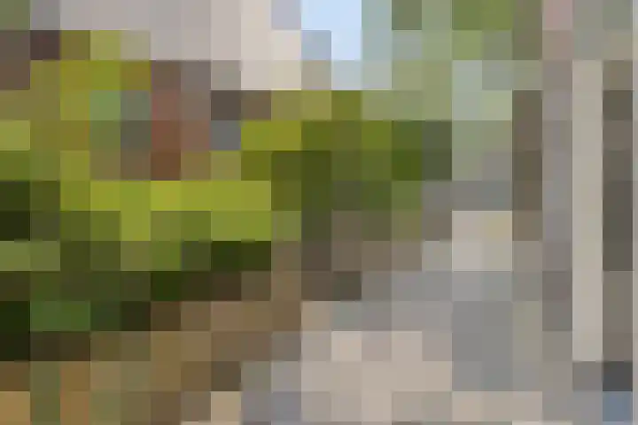 Kastanjelaan 7 Leiderdorp thumbnail 40