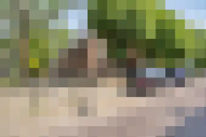 Kastanjelaan 7 Leiderdorp thumbnail 41