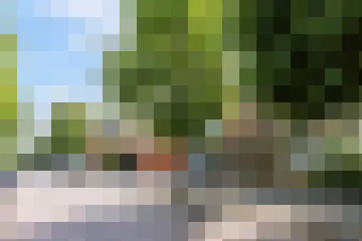 Kastanjelaan 7 Leiderdorp thumbnail 6