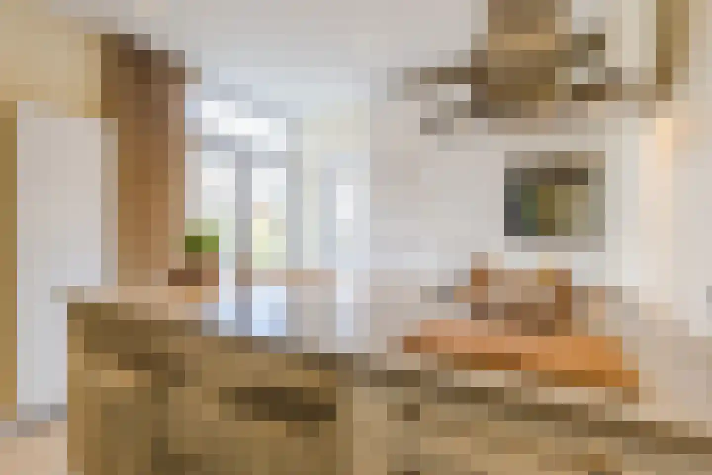 Kastanjelaan 7 Lochem thumbnail 16