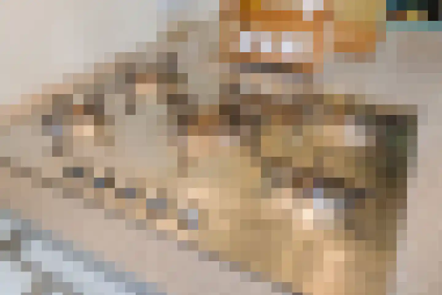 Kastanjelaan 7 Lochem thumbnail 20