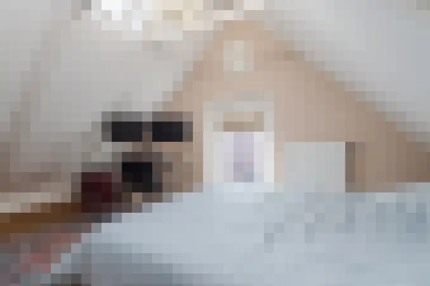 Kastanjelaan 7 Lochem thumbnail 35