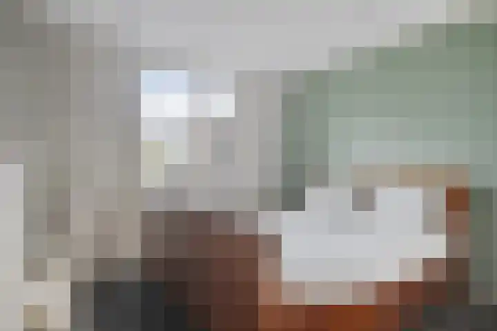 Kastanjelaan 7 Opheusden thumbnail 16