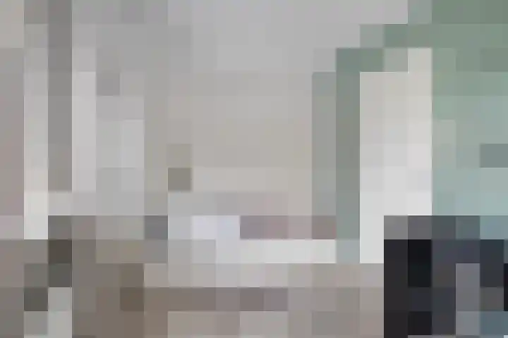 Kastanjelaan 7 Opheusden thumbnail 28