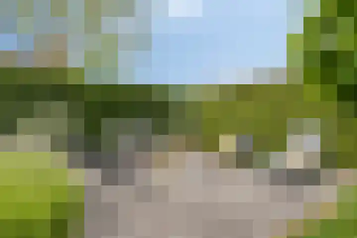 Kastanjelaan 7 Opheusden thumbnail 37