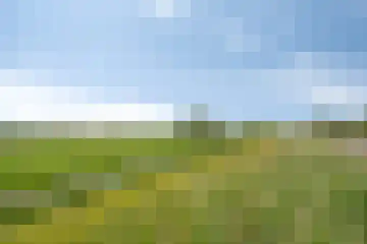 Kastanjelaan 7 Opheusden thumbnail 44