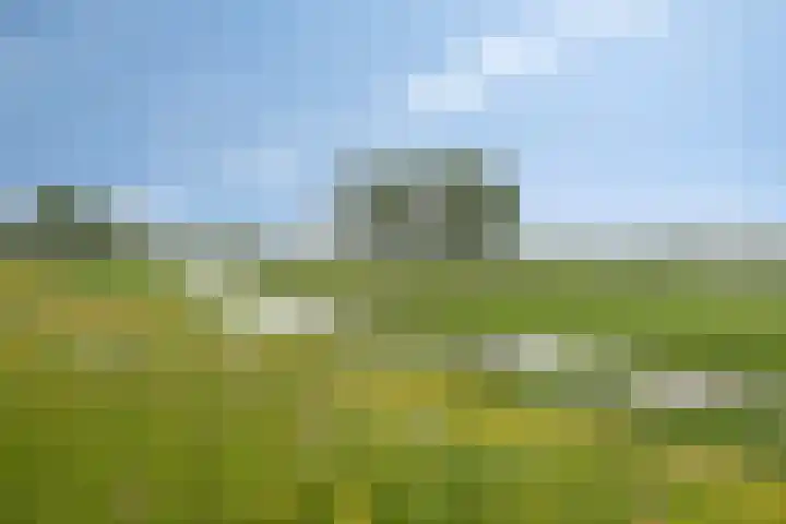 Kastanjelaan 7 Opheusden thumbnail 45