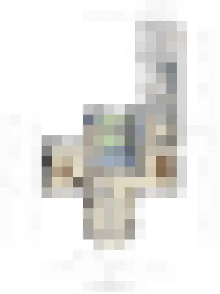 Kastanjelaan 7 Opheusden thumbnail 47
