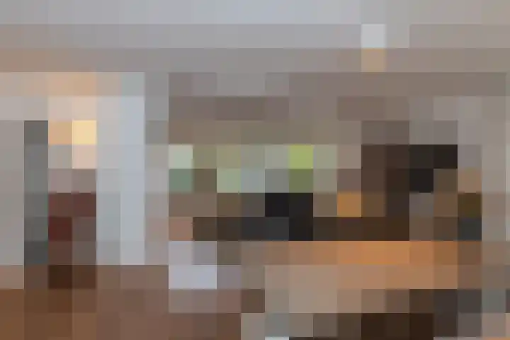 Kastanjelaan 7 Papendrecht thumbnail 12