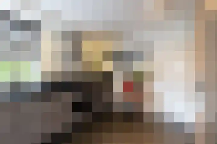 Kastanjelaan 7 Papendrecht thumbnail 15