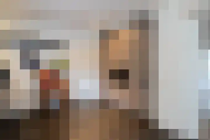 Kastanjelaan 7 Papendrecht thumbnail 16