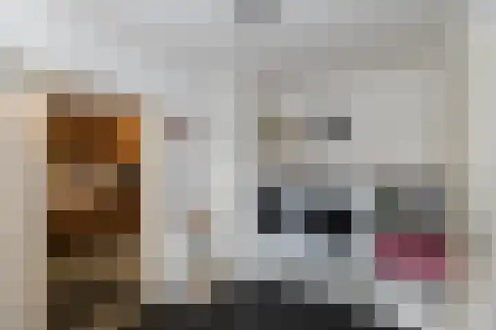 Kastanjelaan 7 Papendrecht thumbnail 18