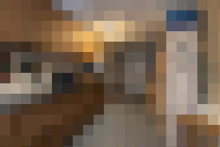 Kastanjelaan 7 Papendrecht thumbnail 20