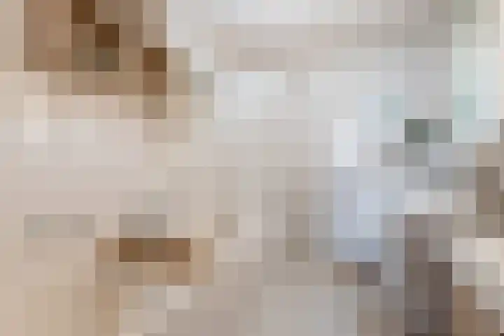 Kastanjelaan 7 Papendrecht thumbnail 25