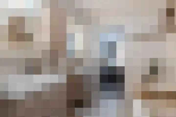 Kastanjelaan 7 Papendrecht thumbnail 26