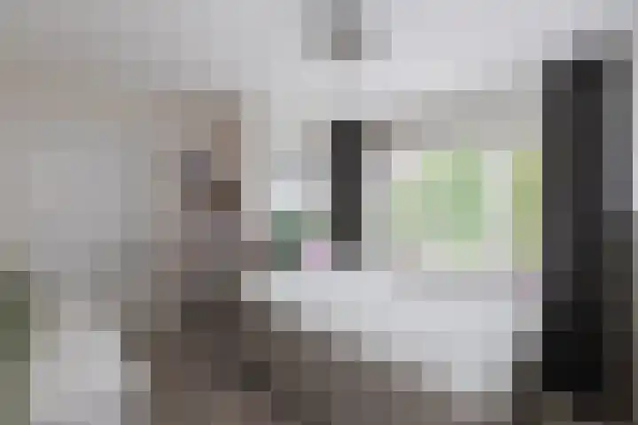 Kastanjelaan 7 Papendrecht thumbnail 33