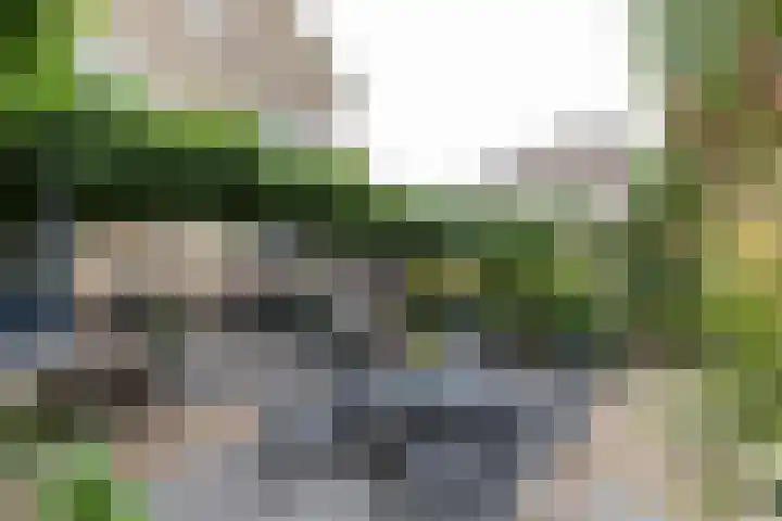 Kastanjelaan 7 Papendrecht thumbnail 4