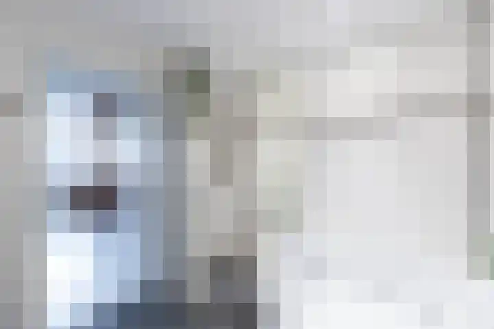 Kastanjelaan 7 Papendrecht thumbnail 40