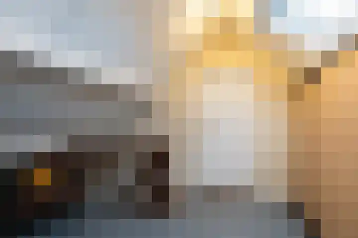 Kastanjelaan 7 Papendrecht thumbnail 41