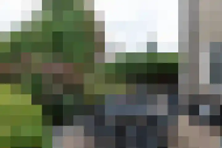 Kastanjelaan 7 Papendrecht thumbnail 46
