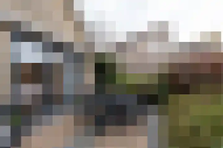 Kastanjelaan 7 Papendrecht thumbnail 47