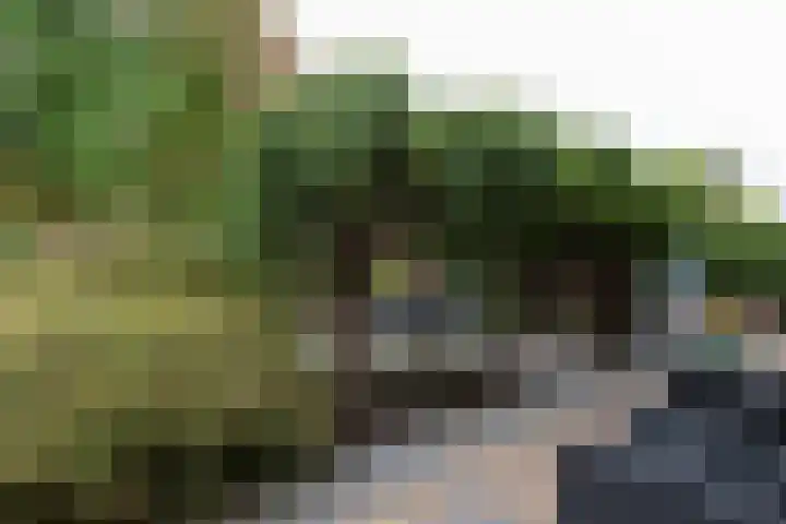 Kastanjelaan 7 Papendrecht thumbnail 48