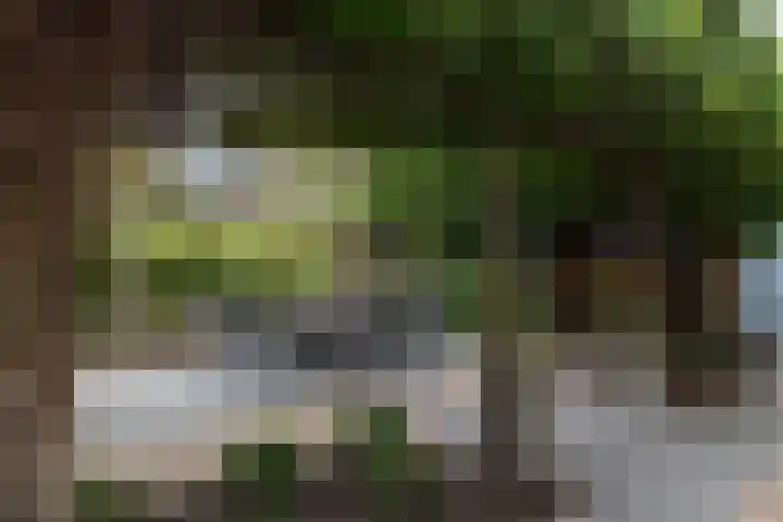 Kastanjelaan 7 Papendrecht thumbnail 49