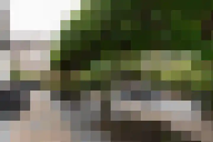 Kastanjelaan 7 Papendrecht thumbnail 50