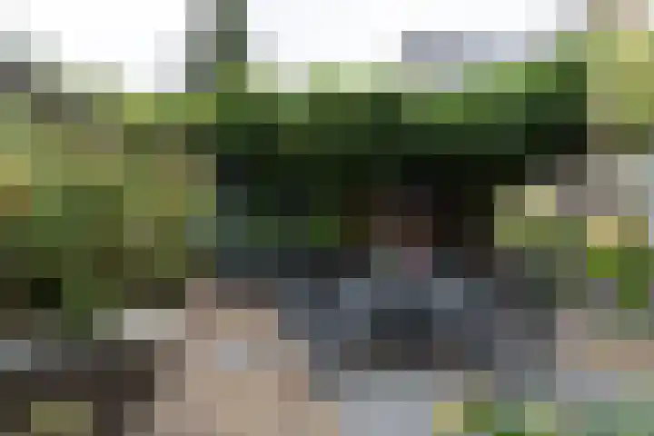 Kastanjelaan 7 Papendrecht thumbnail 51