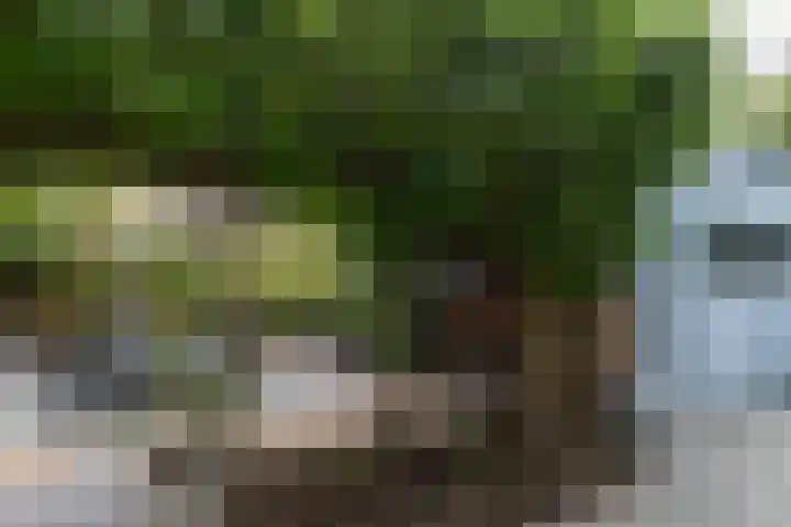 Kastanjelaan 7 Papendrecht thumbnail 52
