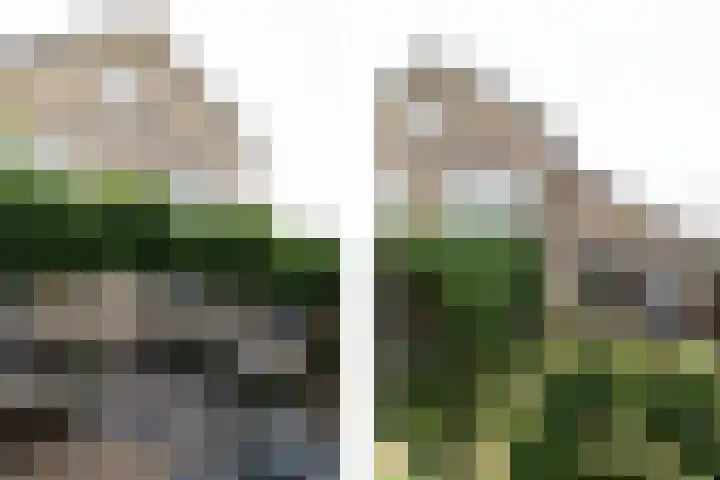 Kastanjelaan 7 Papendrecht thumbnail 53