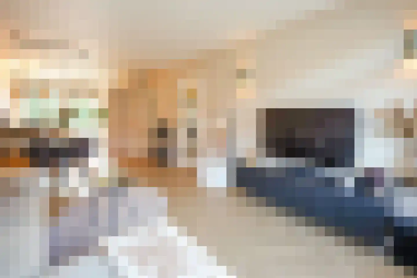 Kastanjelaan 7 Rijswijk thumbnail 12
