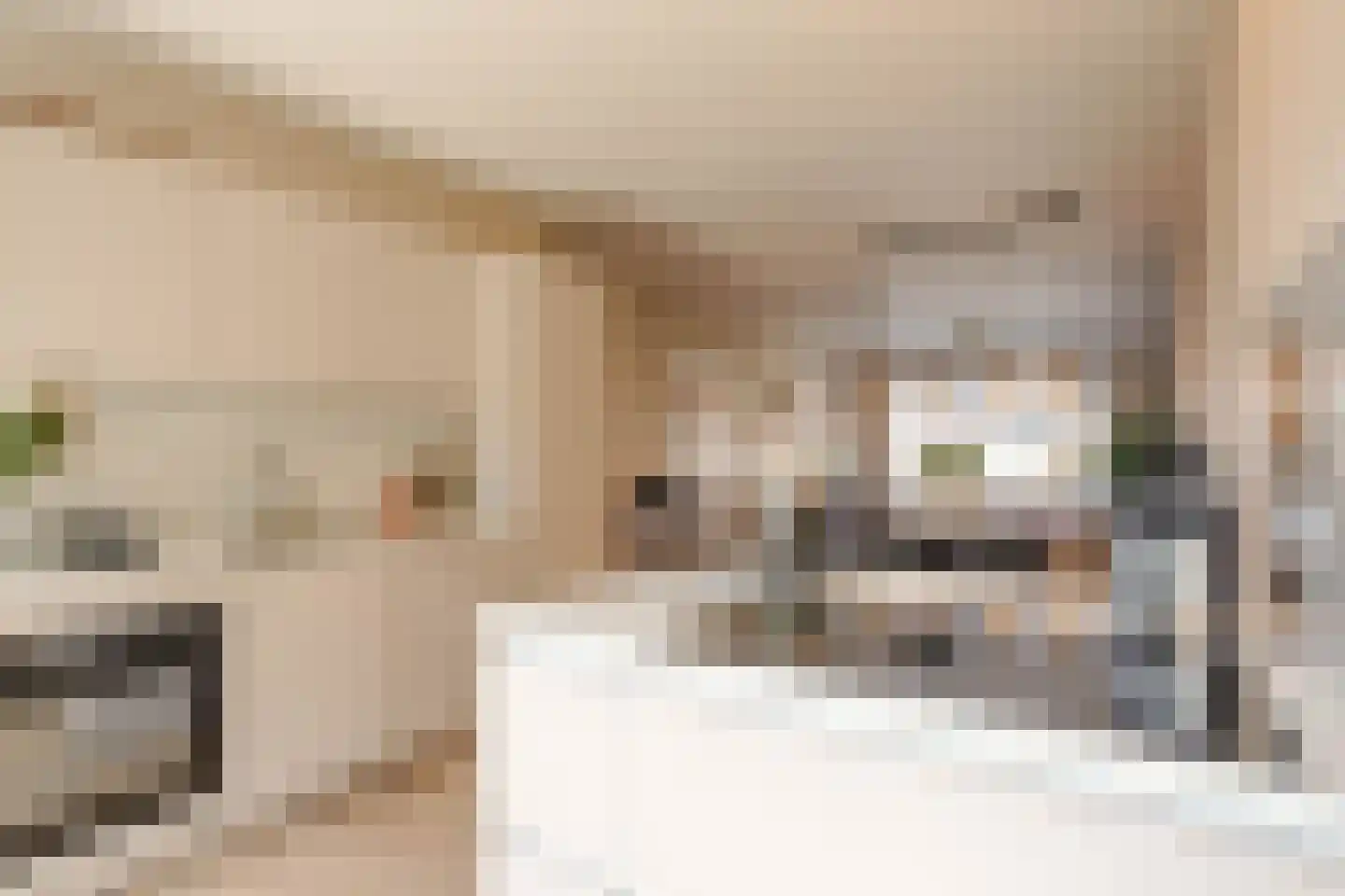 Kastanjelaan 7 Rijswijk thumbnail 18