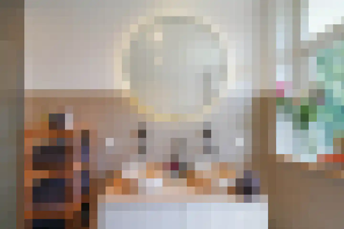 Kastanjelaan 7 Rijswijk thumbnail 22