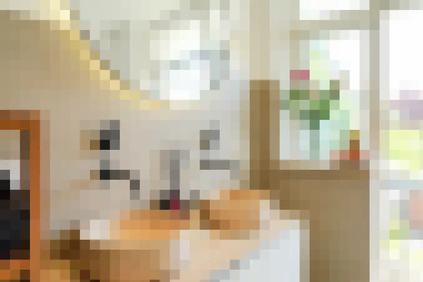 Kastanjelaan 7 Rijswijk thumbnail 31