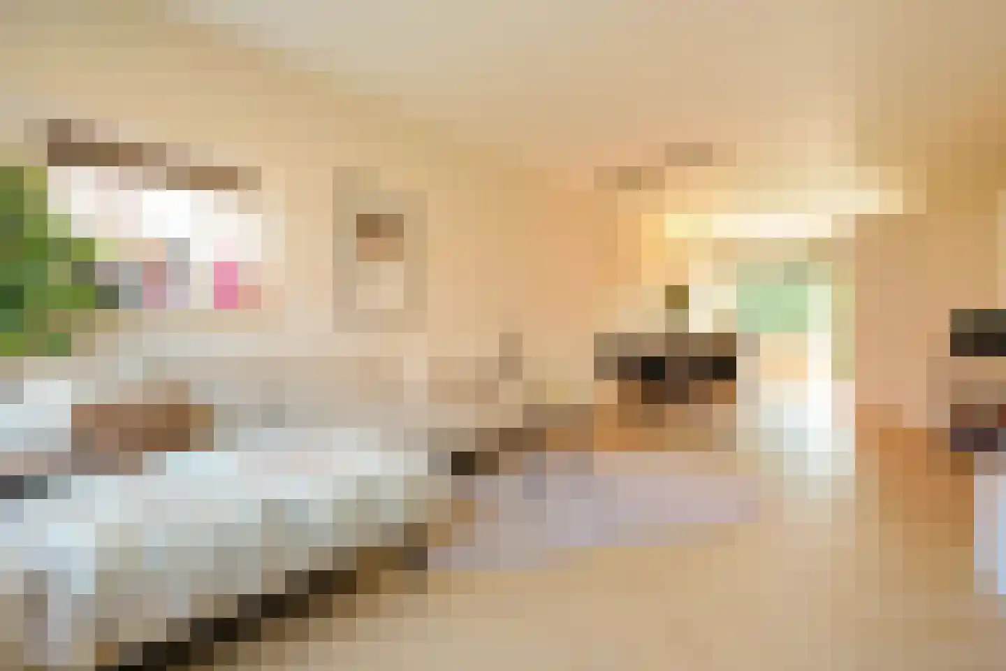 Kastanjelaan 7 Rijswijk thumbnail 9