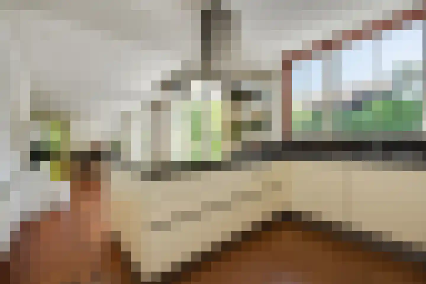 Kastanjelaan 7 Rosmalen thumbnail 23
