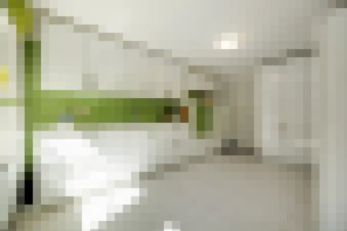 Kastanjelaan 7 Rosmalen thumbnail 26
