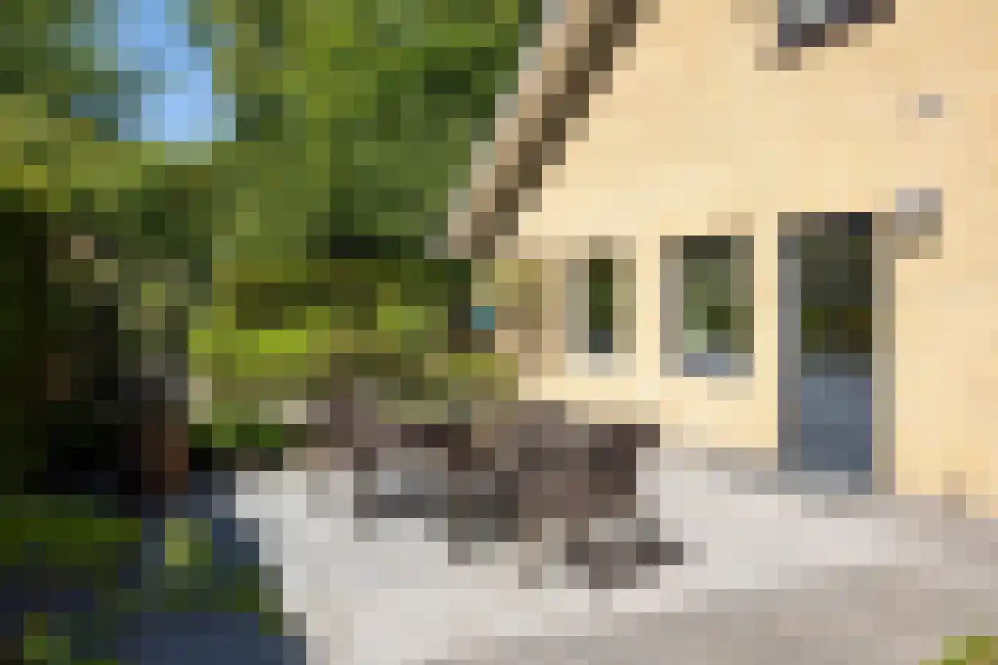Kastanjelaan 7 Rosmalen thumbnail 27