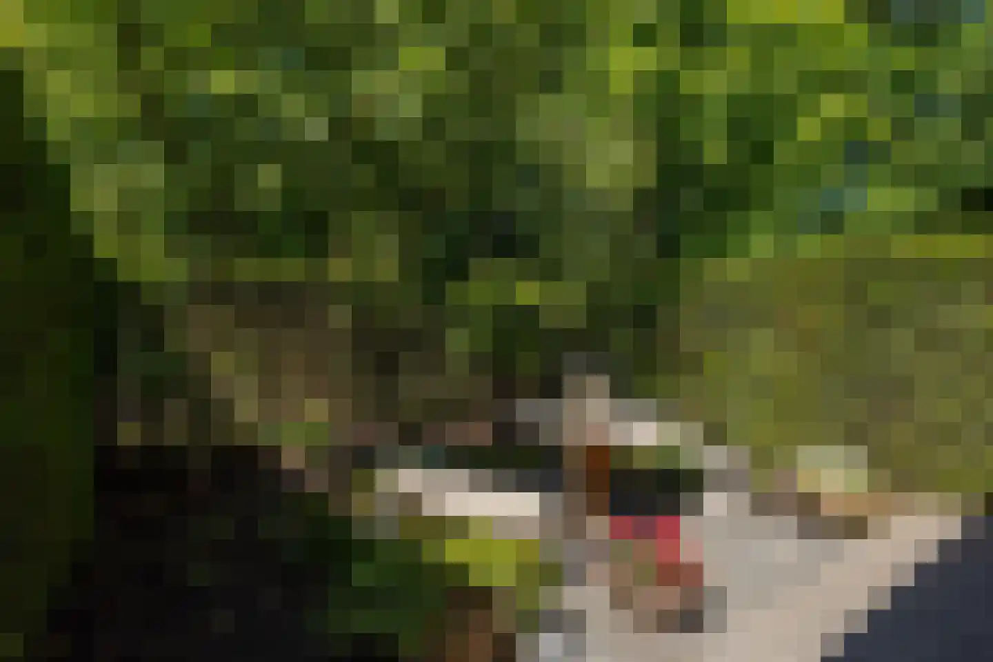 Kastanjelaan 7 Rosmalen thumbnail 28