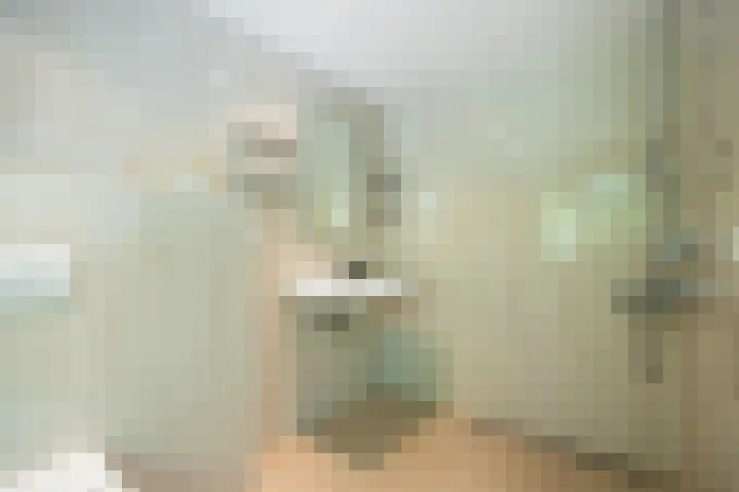 Kastanjelaan 7 Rosmalen thumbnail 31