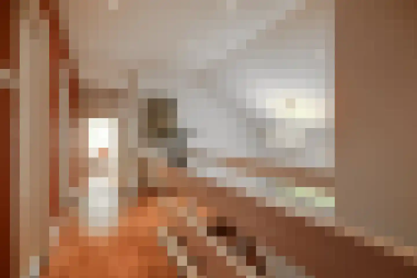 Kastanjelaan 7 Rosmalen thumbnail 36