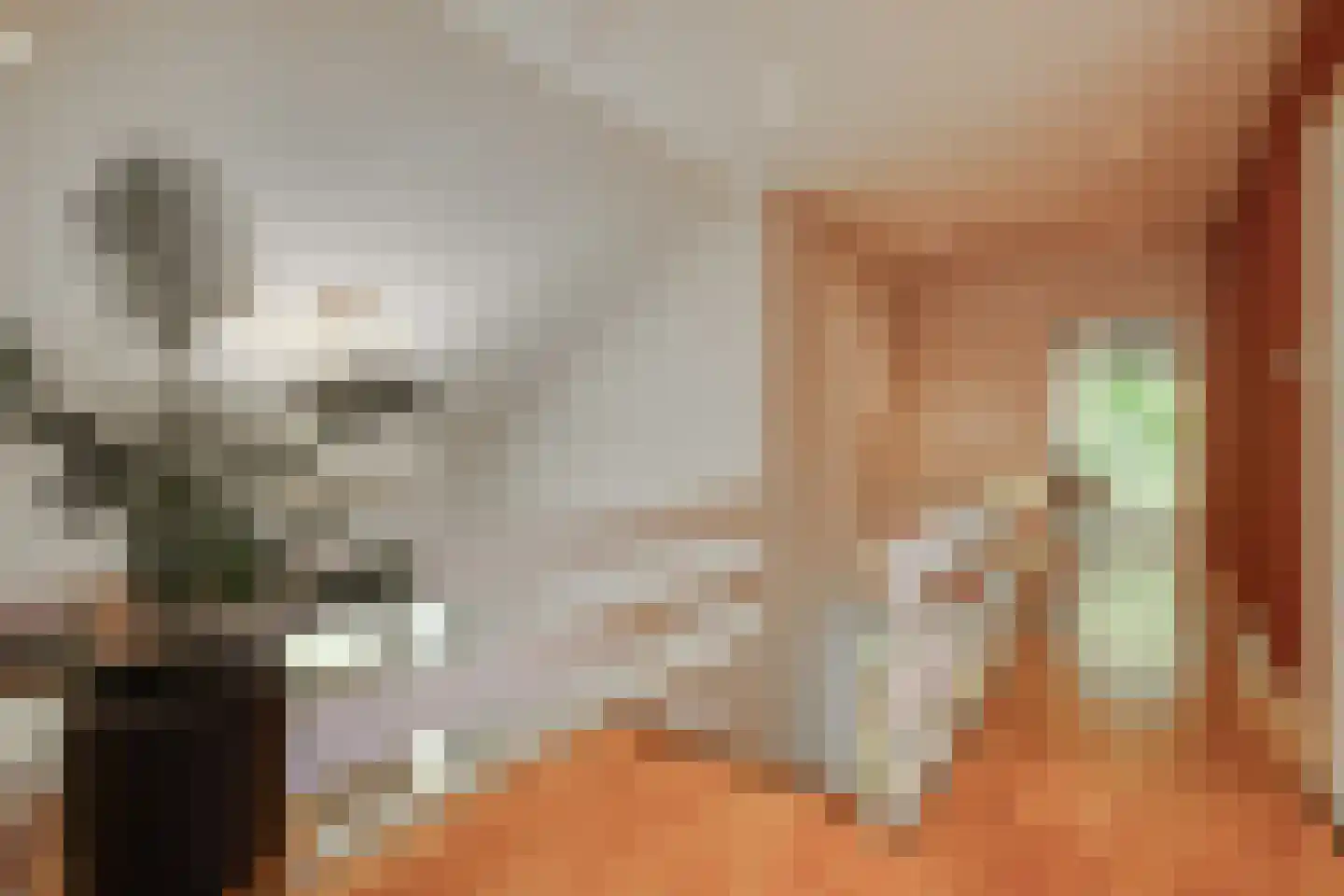 Kastanjelaan 7 Rosmalen thumbnail 37